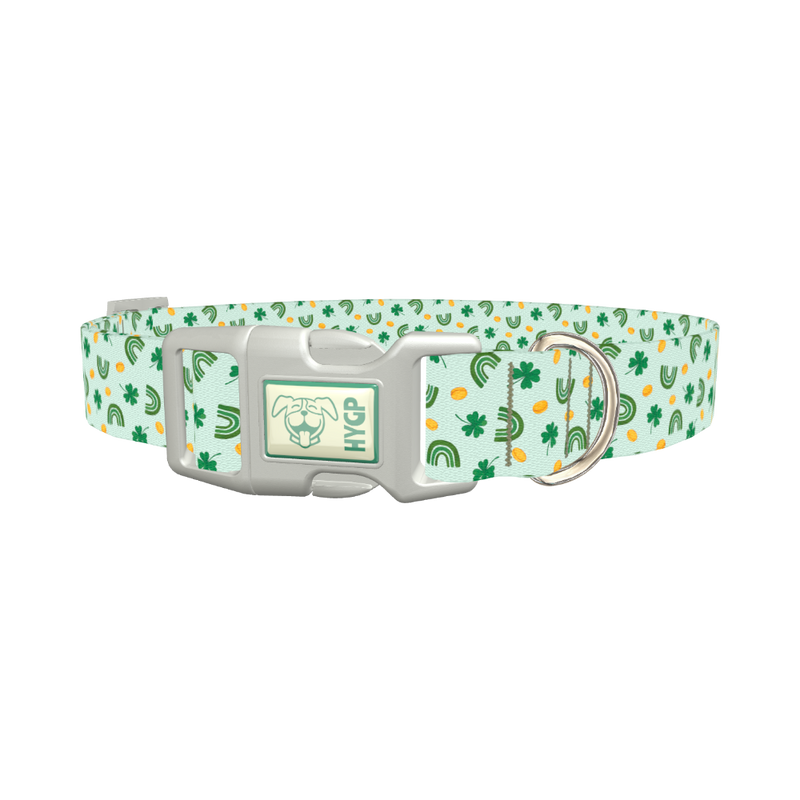 St. Patrick's Day Rainbow Dog Collar - plastic silver