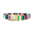 Color Stripe Dog Collar - plastic gold
