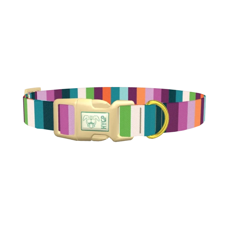 Color Stripe Dog Collar - plastic gold