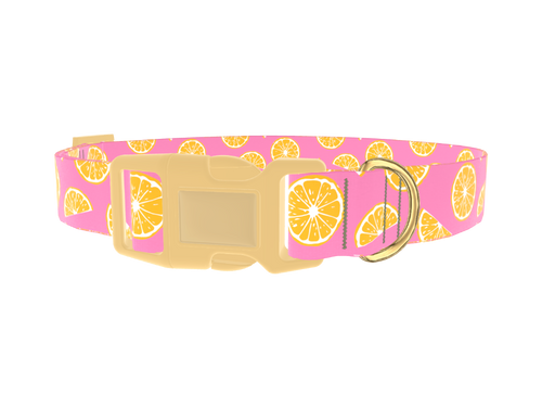 Pink Citrus Burst Dog Collar