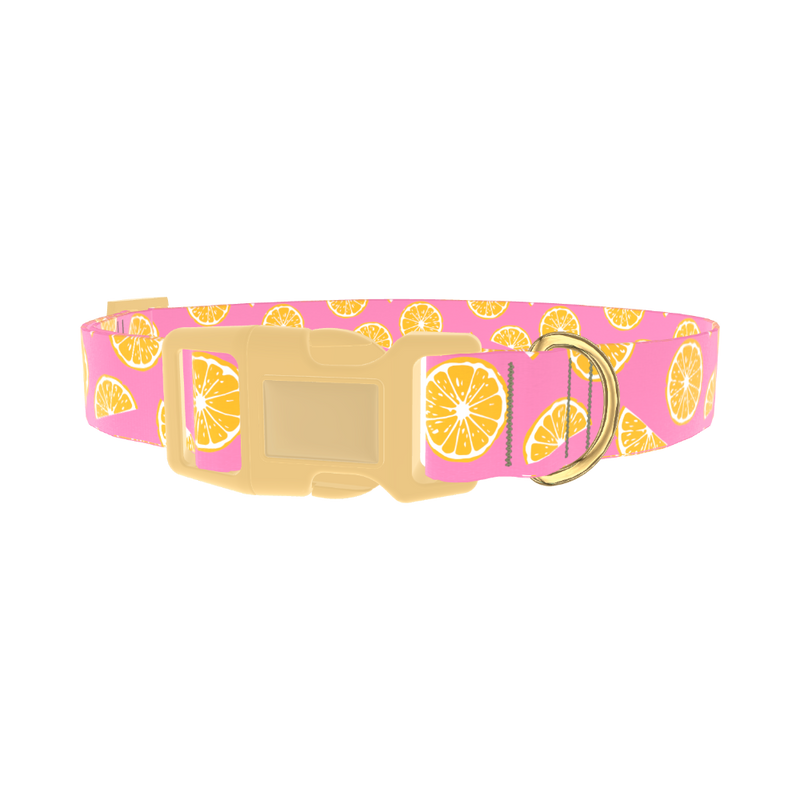 Pink Citrus Burst Dog Collar - plastic gold