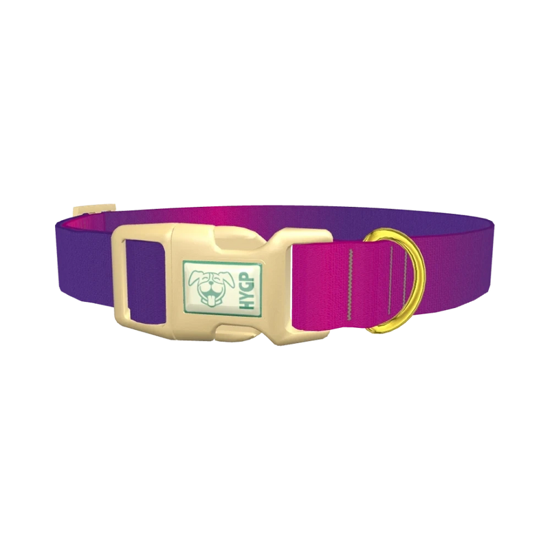 Pink Purple Gradient Dog Collar - plastic gold