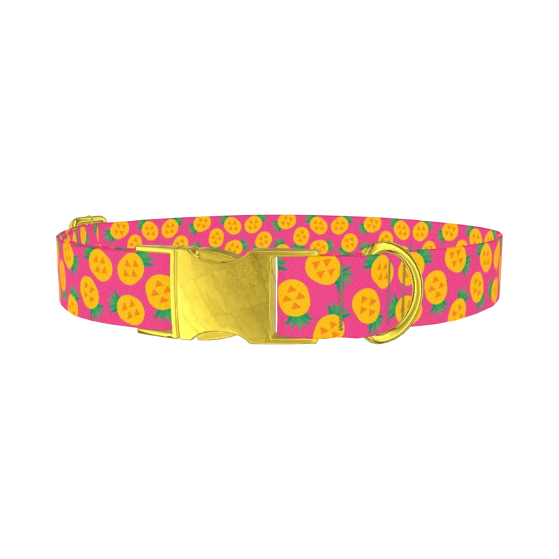 Pineapple Fruit Dog Collar - metal gold