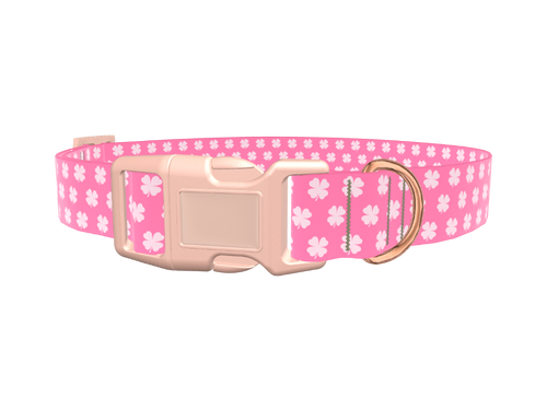 Shamrock Pattern Dog Collar