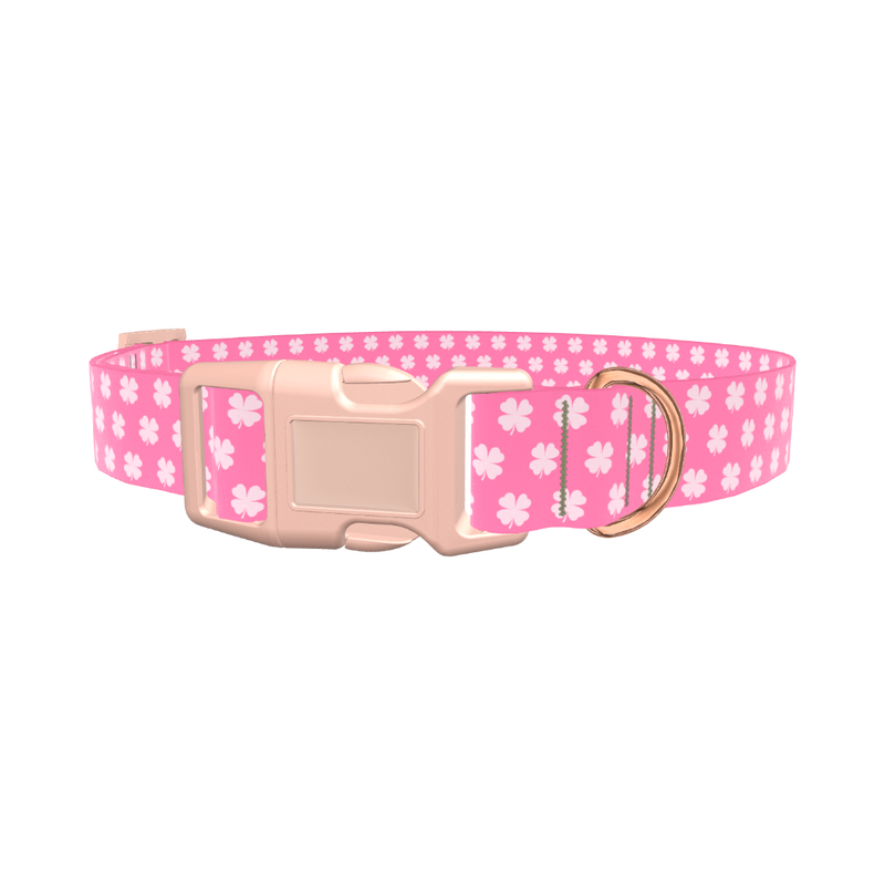 Shamrock Pattern Dog Collar - plastic gold