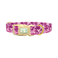 Pink Digital Camo Dog Collar - plastic gold