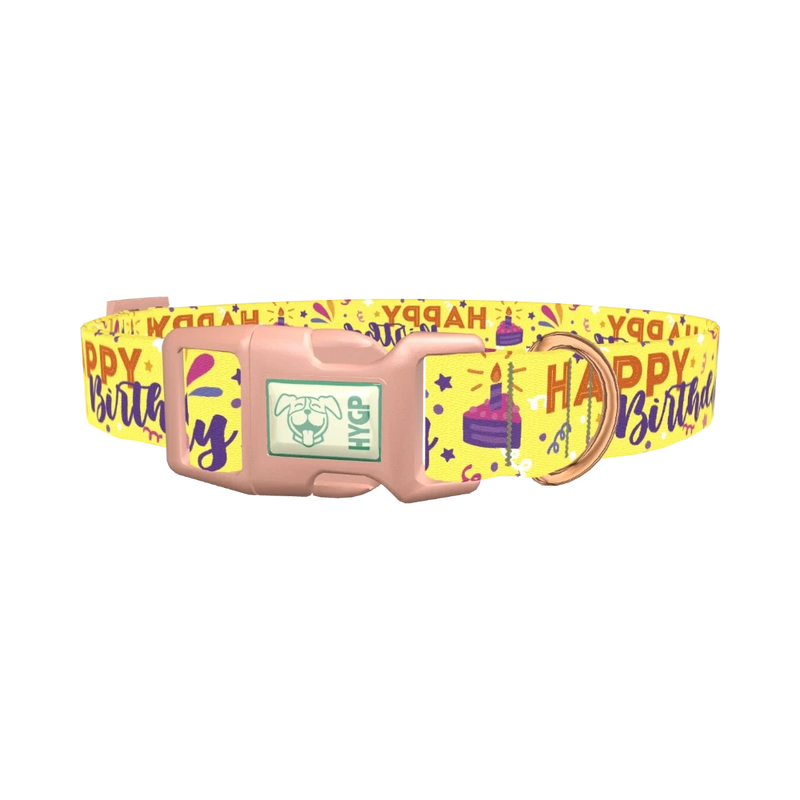 Birthday Cake Dog Collar - plastic rose gold