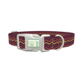Multicolor Zigzag Dog Collar - plastic silver