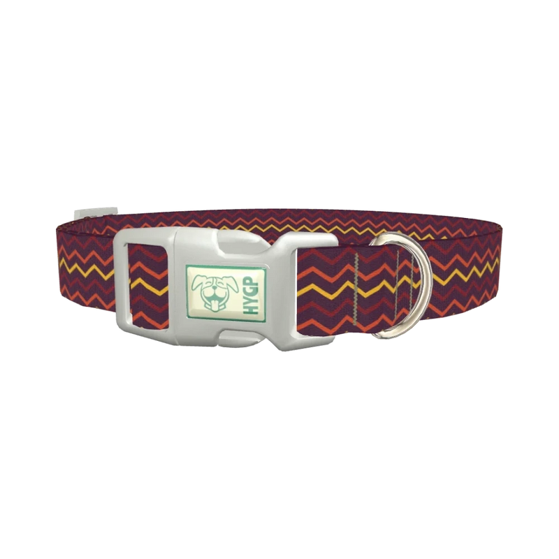 Multicolor Zigzag Dog Collar - plastic silver