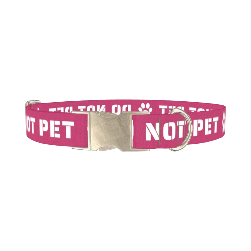 Pink Do Not Pet Dog Collar - metal silver