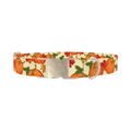 Autumn Pumpkin Dog Collar - metal silver