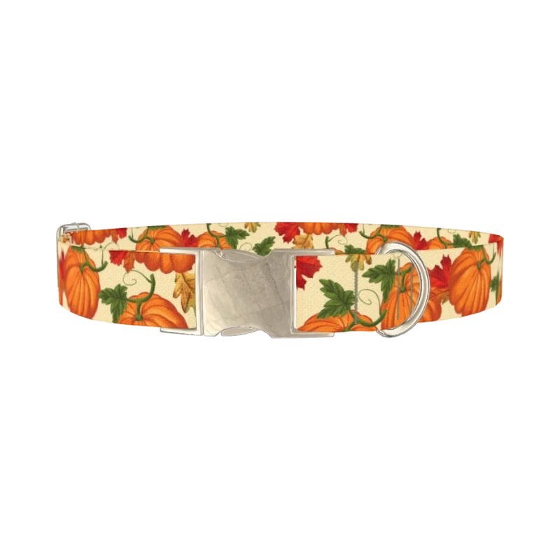 Autumn Pumpkin Dog Collar - metal silver