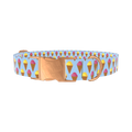 Colorful Ice Cream Cone Dog Collar - metal silver