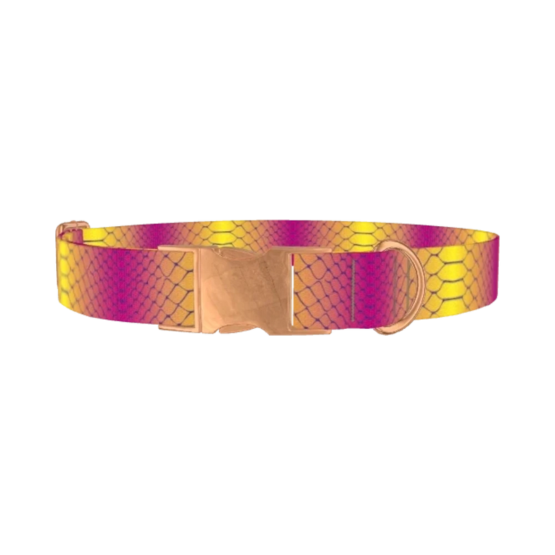 Colorful Snake Skin Dog Collar - metal rose gold