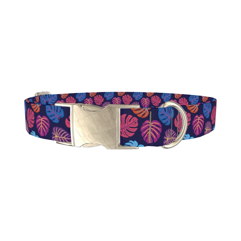 Colorful Monstera Dog Collar - metal silver