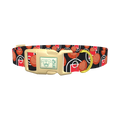 Basketball Court Dog Collar - plastic gold