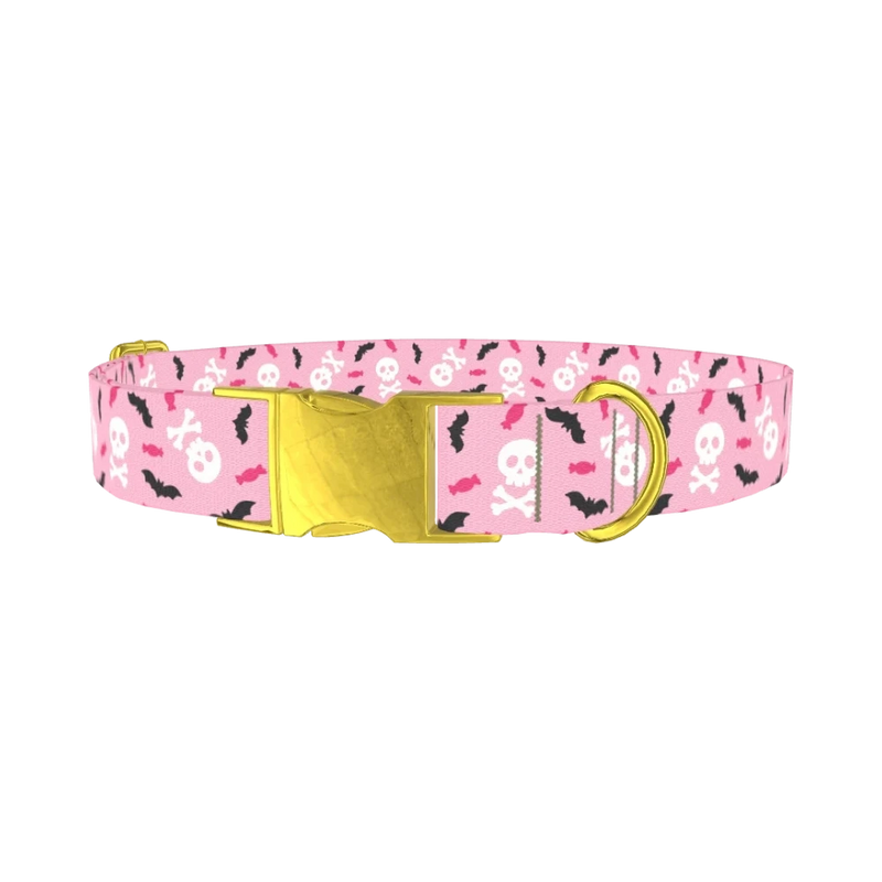 Halloween Skulls and Bats Dog Collar - metal gold
