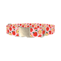 Apple Fruit Dog Collar - metal silver