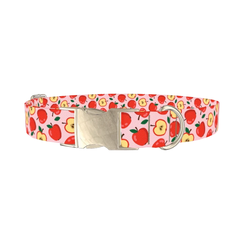 Apple Fruit Dog Collar - metal silver