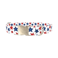 Red Blue Star Pattern Dog Collar - metal silver