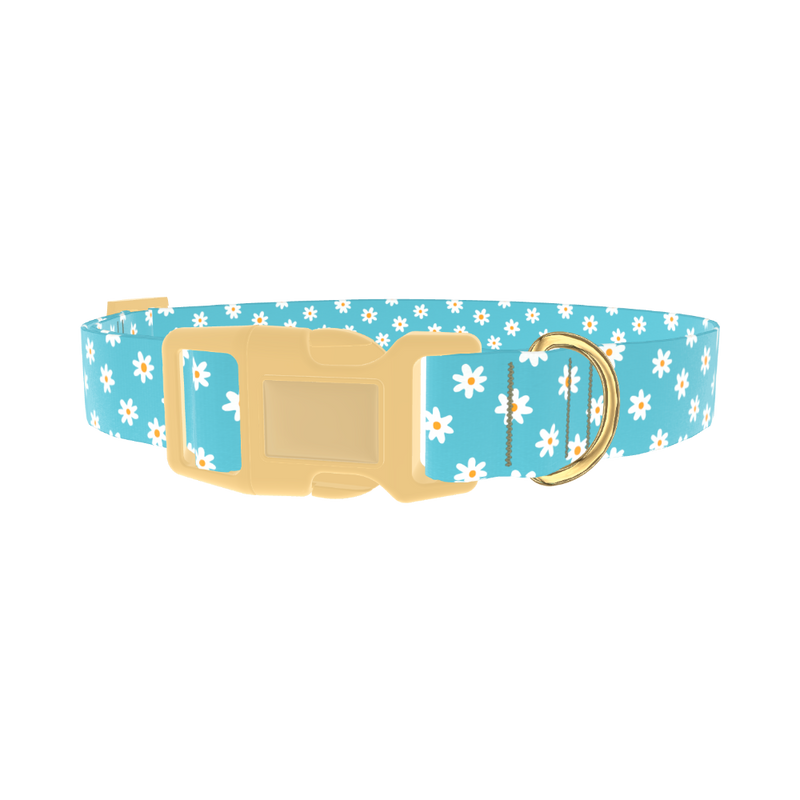 Daisy Floral Dog Collar - plastic gold
