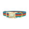 Turquoise Red Stripe Dog Collar - plastic gold