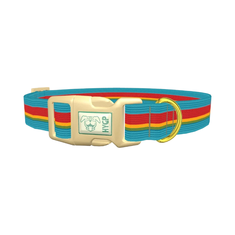 Turquoise Red Stripe Dog Collar - plastic gold