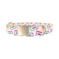 Retro Cassette Dog Collar - metal silver