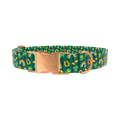 Lucky Charm Dog Collar - metal silver