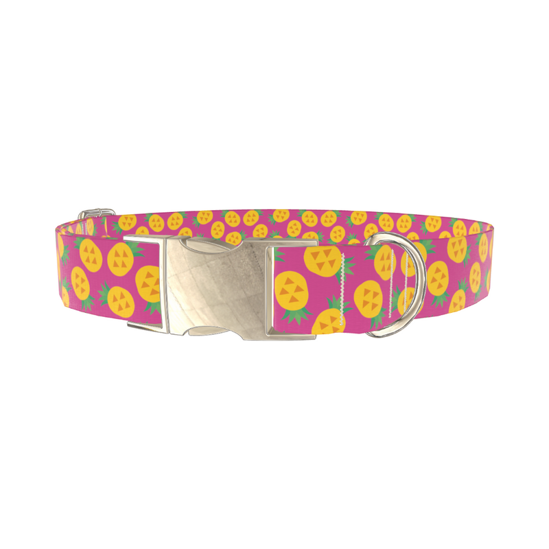 Pineapple Fruit Dog Collar
