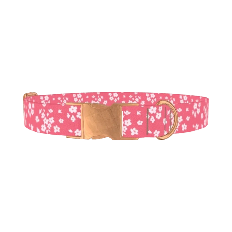 Floral Pink Dog Collar - metal rose gold