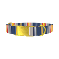 Colorful Striped Dog Collar - metal gold