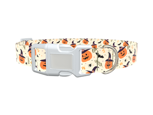 Witchy Pumpkin Halloween Dog Collar