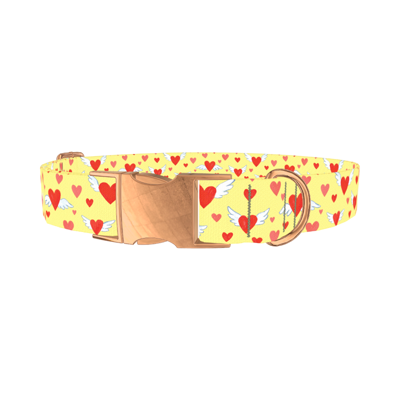 Flying Hearts Dog Collar - metal rose gold