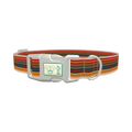 Autumn Stripes Dog Collar - plastic silver