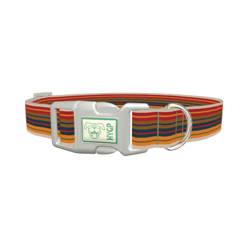 Autumn Stripes Dog Collar - plastic silver