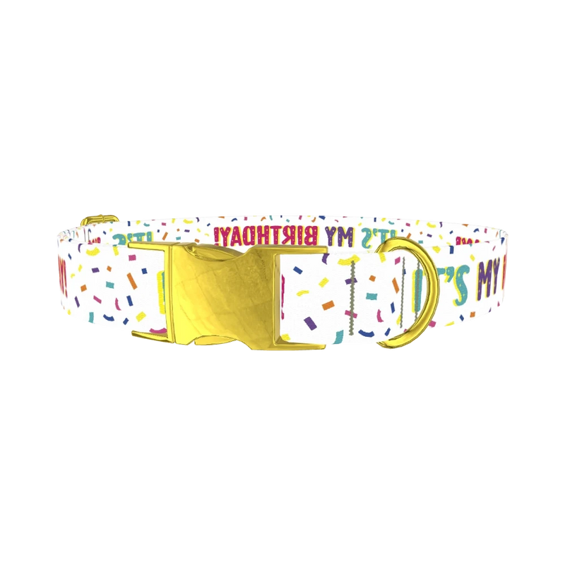 Birthday Confetti Dog Collar - metal gold