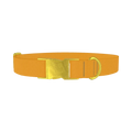 Shì Zǐ Chéng Persimmon Color Dog Collar - metal gold