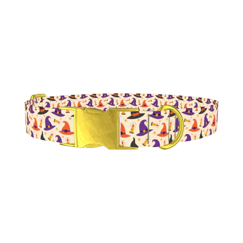 Halloween Witch Hat Dog Collar - metal gold