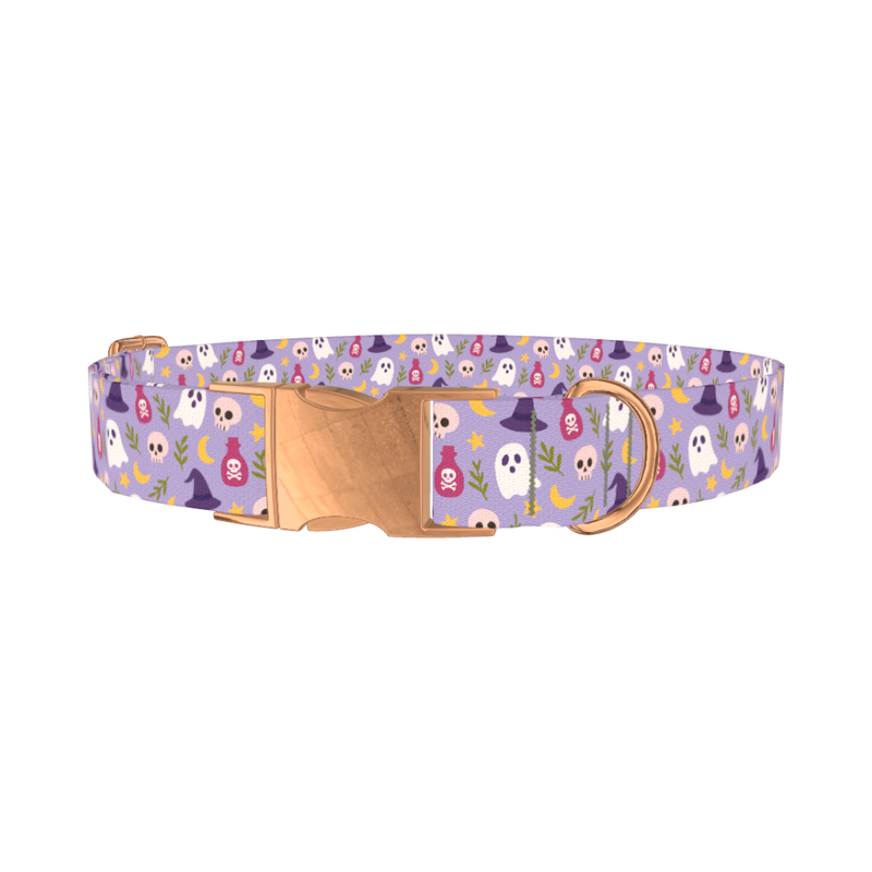 Halloween Ghost Dog Collar - metal rose gold