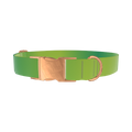 Green Gradient Dog Collar - metal rose gold