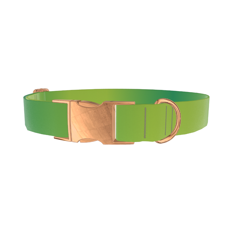Green Gradient Dog Collar - metal rose gold