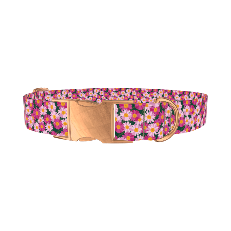 Pink Daisy Floral Dog Collar - metal rose gold