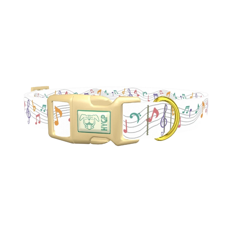 Colorful Music Notes Dog Collar - plastic gold