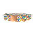 Colorful Heart Dog Collar - metal rose gold