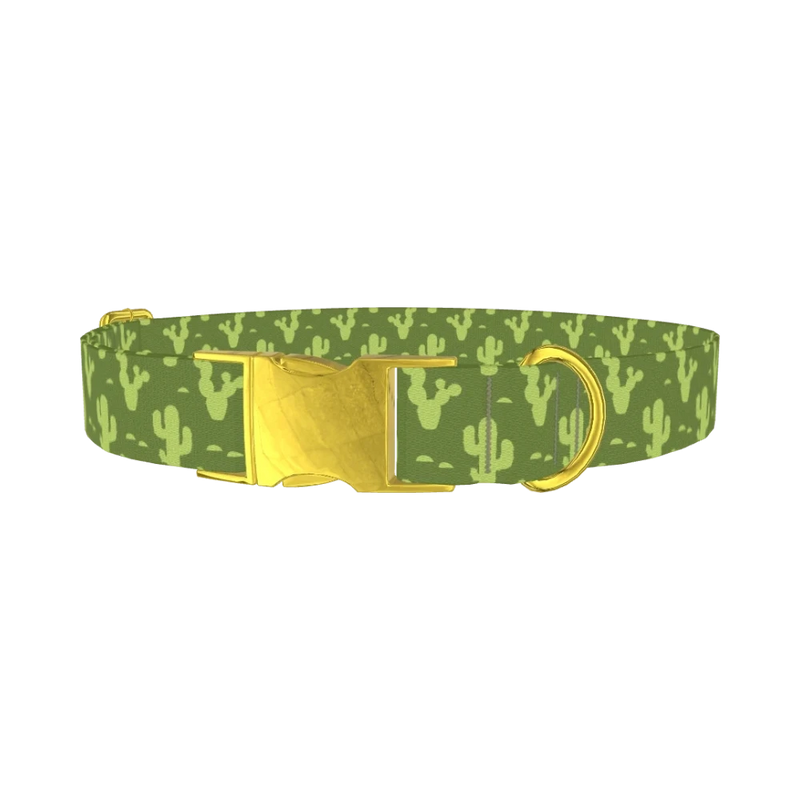 Cactus Desert Dog Collar - metal gold