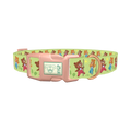 Dancing Teddy Bear Dog Collar - plastic rose gold