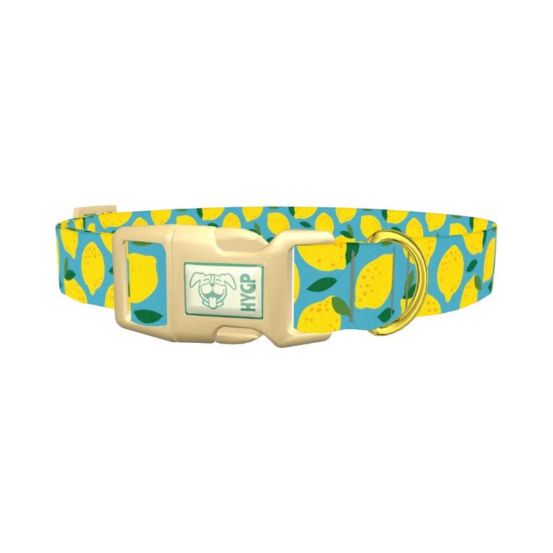 Blue Lemon Pattern Dog Collar - plastic gold