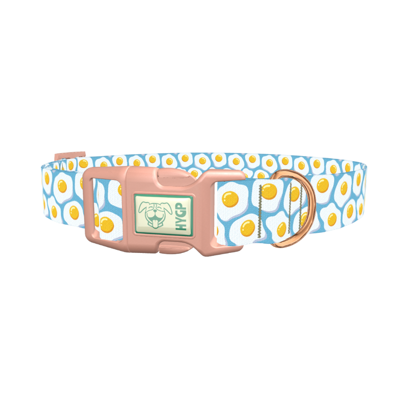Egg Pattern Dog Collar - plastic rose gold