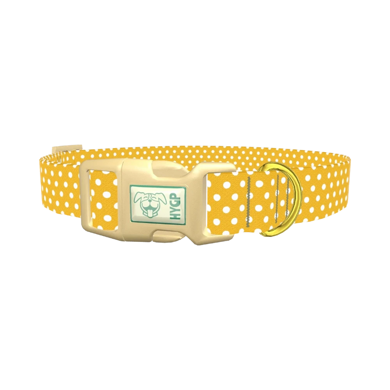 Polka Dot Dog Collar - plastic gold